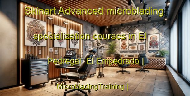 Skinart Advanced microblading specialization courses in El Pedregal  El Empedrado | MicrobladingTraining | MicrobladingClasses | SkinartTraining-Mexico